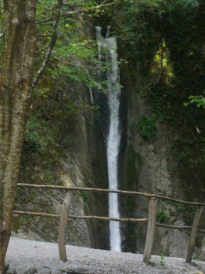 Affittacamere La Costa Orsomarso ภายนอก รูปภาพ